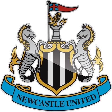 Newcastle United - Premier Injuries