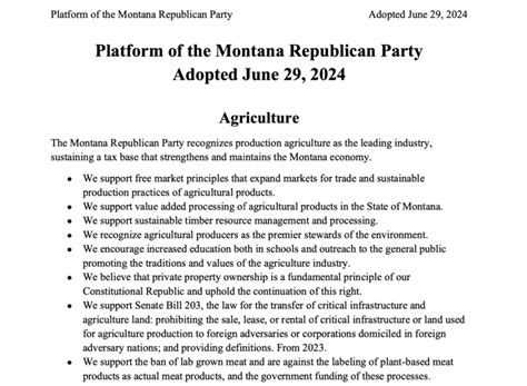 Party Platform - MTGOP