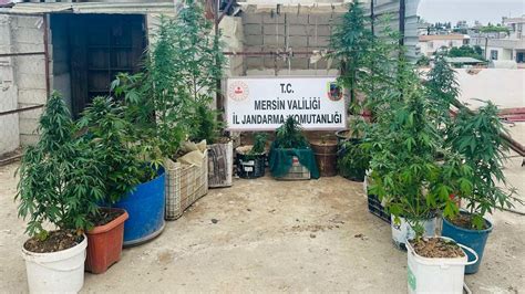 Mersinde uyuşturucu madde operasyonu 2 gözaltı Erdemli Haber