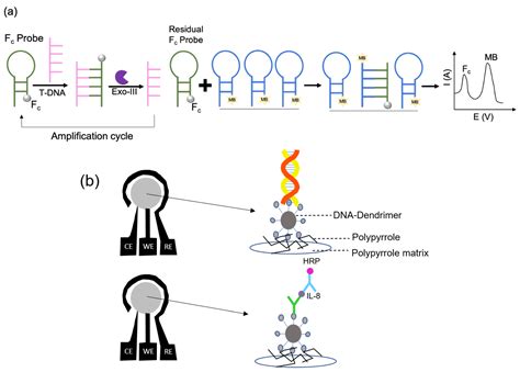 A Review: Electrochemical Biosensors for Oral Cancer 