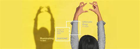 Pantone Color of The Year 2021 | Primoprint Blog