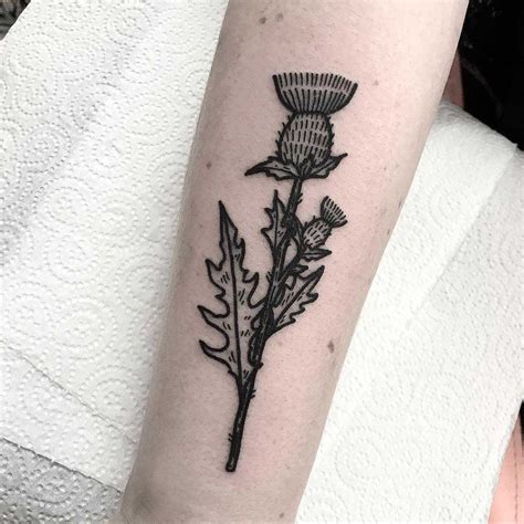 Thistle tattoo by Deborah Pow - Tattoogrid.net | Thistle tattoo, Tattoos, Beautiful flower tattoos