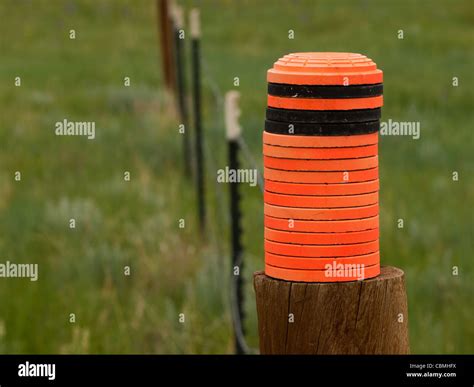 Stack Of Orange Clay Pigeon Stock Photo Alamy