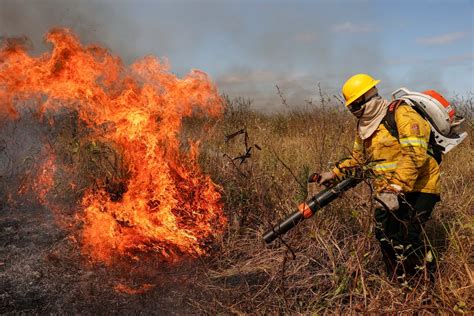 Las fotos de los históricos incendios en el Pantanal brasileño Una de