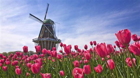 🔥 50 Dutch Windmill Wallpapers Wallpapersafari