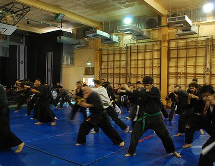 Ninjutsu - Get Into Martial Arts