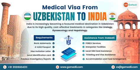 Medical Visa From Zambia To India Gomedii Blog