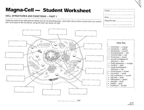 Inside The Eukaryotic Cell Worksheet Answers — Db