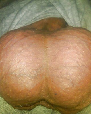 Contest Most Beautiful Cock Submit Your Cock Today Porn Pictures XXX Photos Sex Images