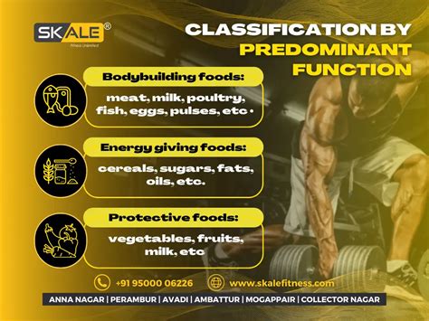 Best Gym Workout Plan for Beginners | Skale Fitness Chennai