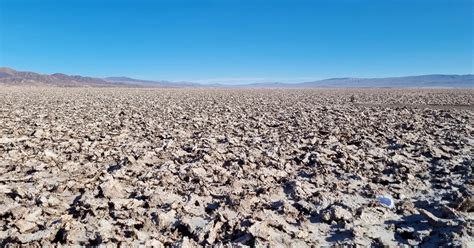 Fortuna De Us3500m Del Rey Del Litio En Riesgo Por El Gobierno