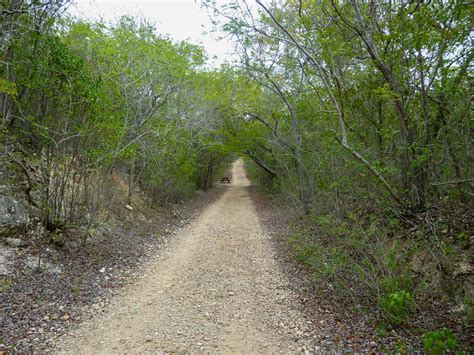 Guanica Dry Forest - Puerto Rico 1streetover travel