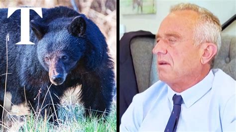 Robert F Kennedy Jr Admits Dumping Body Of Dead Bear In New York City Youtube