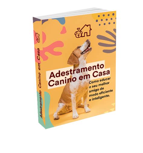 Adestramento Canino Em Casa