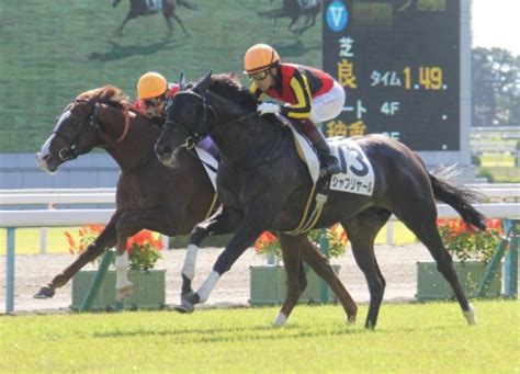 ついに出た★9つ！ 3冠ジョッキー背に「伝説の新馬戦」制したシャフリヤール 競馬専門紙「優馬」