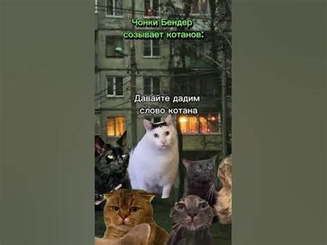 слово Котона #реки#словокотана - YouTube