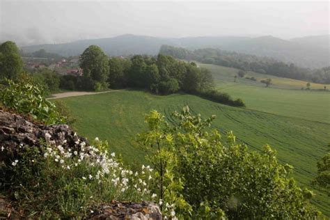 Adlerstein