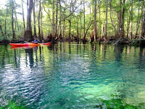 Florida Caverns State Park Artofit