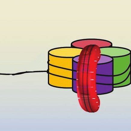 Core histone and nucleosome structure. | Download Scientific Diagram