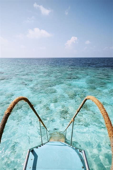 Staircase To Sea With Coral Reef Stock Image Image Of Holiday