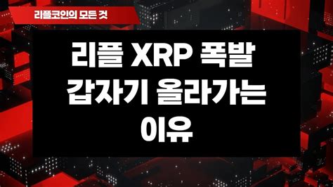 리플 Xrp 폭발 갑자기 올라가는이유 🚀 리플코인 비트코인 이더리움 에이다 도지코인 Youtube