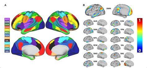 A Surface Segmentation Of Resting State Networks Based On Maximum