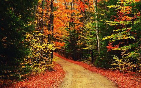 Fall Scenery Backgrounds - Wallpaper Cave