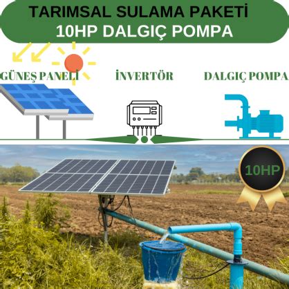 5 5hp Dalgıç Pompa Tarımsal Sulama Sistemi