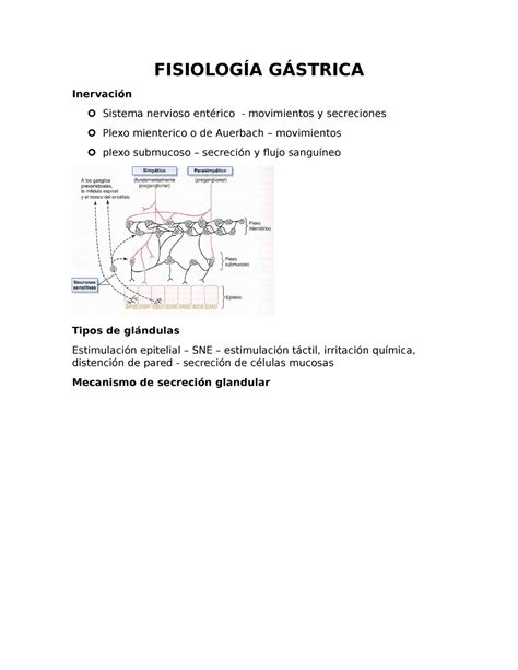 Fisiolog A G Strica Fisio Gastro Fisiolog A G Strica Inervaci N