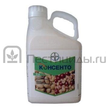 Консенто, КС