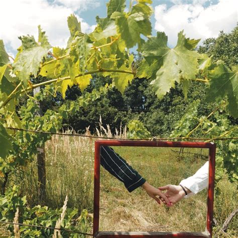 Sabes A Qu Distancia Se Plantan Las Jud As Verdes Descubre Los