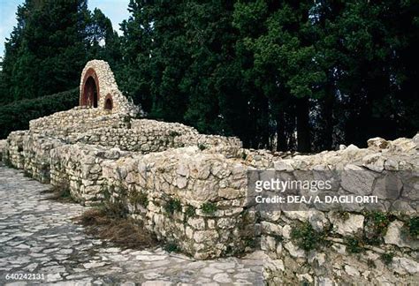 Roman Bosnian Photos And Premium High Res Pictures Getty Images