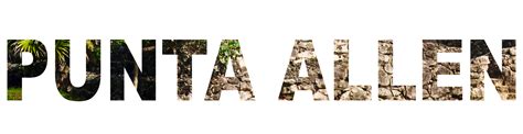 punta allen