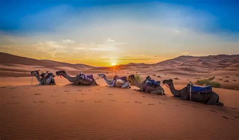 Desde Marrakech Excursi N De D As Por El Desierto A Casablanca