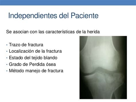 Proceso De Reparación Y Remodelación De Fracturas