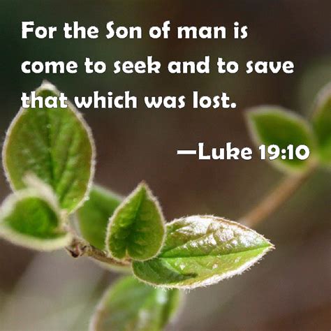 Luke For The Son Of Man Is Come To Seek And To Save That Which