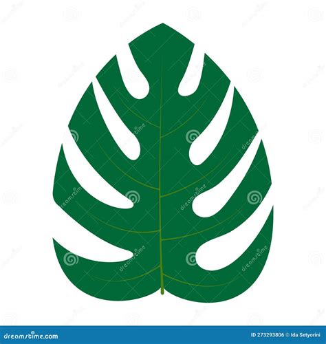 Monstera Leaf Icon Stock Illustration Illustration Of Design 273293806