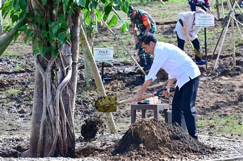 Sekretariat Kabinet Republik Indonesia President Jokowi Tree