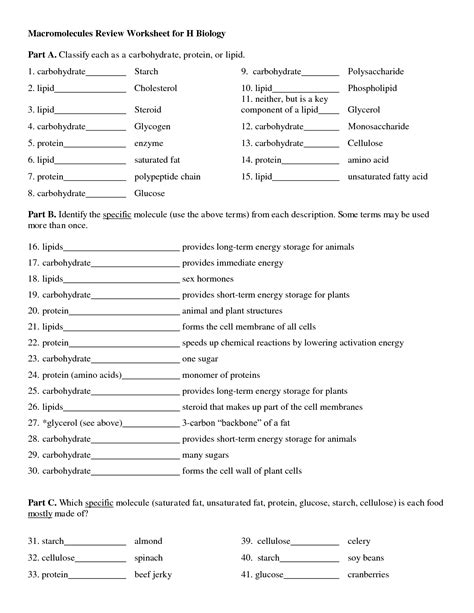 Biological Macromolecules Answer Sheet