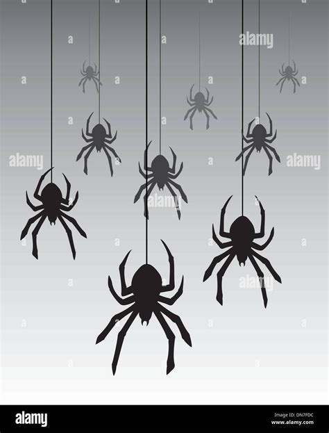 Vector Hanging Spiders Stock Vector Image Art Alamy