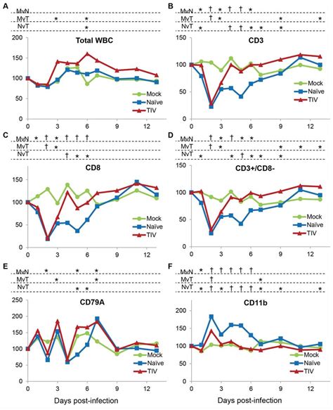 Peripheral Blood Leukocyte Subsets Following Infection Of Vaccinated