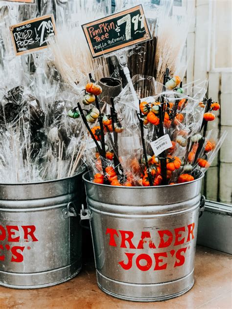 The Best Trader Joes Fall Items This Is Our Bliss