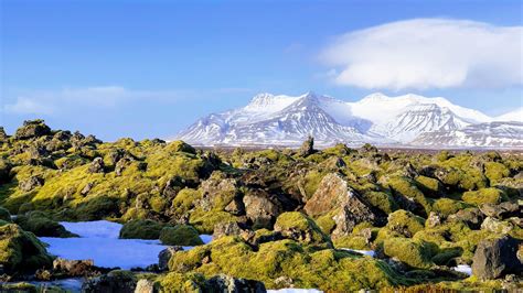 Iceland Forest Wallpapers Top Free Iceland Forest Backgrounds