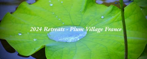 2024 Retreats In Plum Village France Plum Village