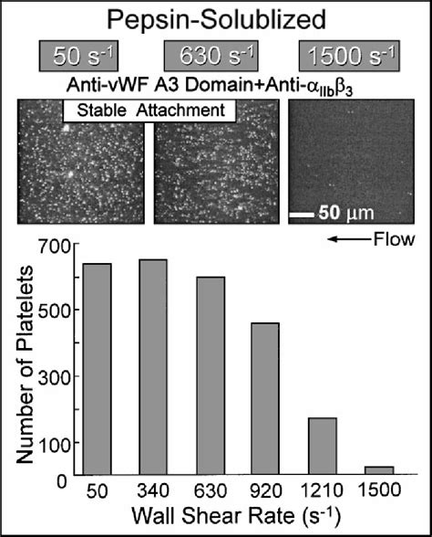 Figure From Hemostasis Thrombosis And Vascular Biology Influence Of