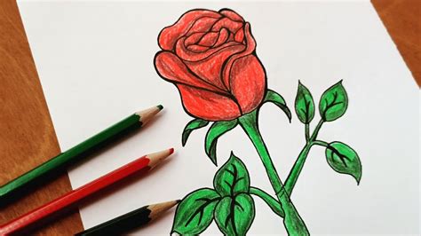 How To Draw A Rose Step By Step Slow Drawing Tutorial Very Easy For