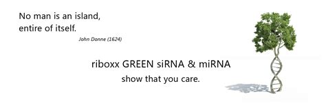 riboxx RNA Technologies - Green siRNA and miRNA 