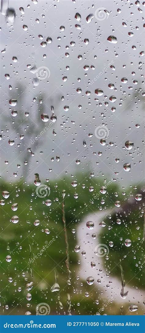 Droplets on the Window after the Rain . Stock Photo - Image of window, leaf: 277711050