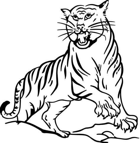 Free Printable Tiger Coloring Pages For Kids