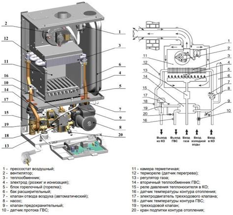 Газовый котел Neva Lux 8224 - Купить | Нева Люкс 8224